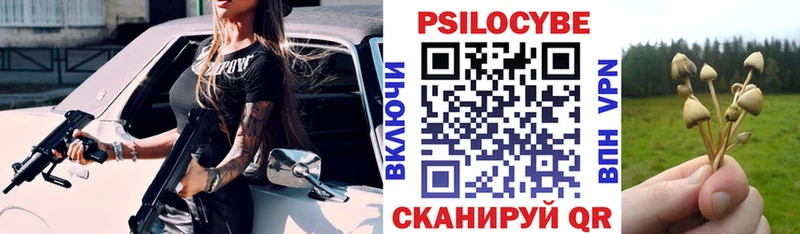 Купить где  Дрезна  Галлюциногенные грибы прущие грибы 
